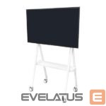 Televizoriaus laikiklis NEOMOUNTS  TV SET ACC FLOOR STAND/32-65 