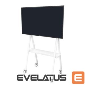 Televizoriaus laikiklis NEOMOUNTS  TV SET ACC FLOOR STAND/32-65 