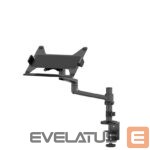 Kitas kompiuterio priedas NEOMOUNTS  NB ACC DESK STAND 11.6-17.3 