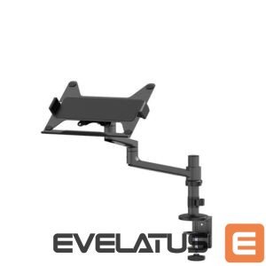 Cita datorprece NEOMOUNTS  NB ACC DESK STAND 11.6-17.3 