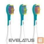 Dantų šepetėlis Media-tech  MT6520 Toothbrush Head Pro 