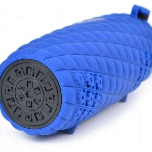 Belaidės kolonėlės Toshiba  Sonic Blast 2 TY-WSP80 blue 