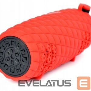 Belaidės kolonėlės Toshiba  Sonic Blast 2 TY-WSP80 red 