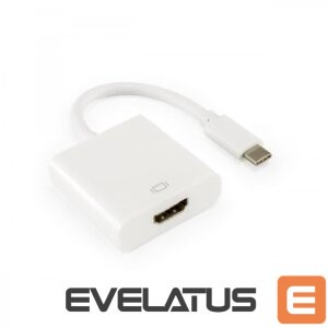 Üleminek Sbox  AD.HDMI-TYPEC HDMI F.->TYPE-C M 