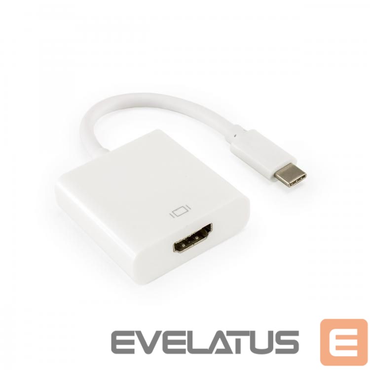 Converter Sbox AD.HDMI-TYPEC HDMI F.->TYPE-C M