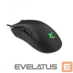 Arvutihiir White Shark  SAGRAMORE GM-9003 RGB/7.000 DPI 