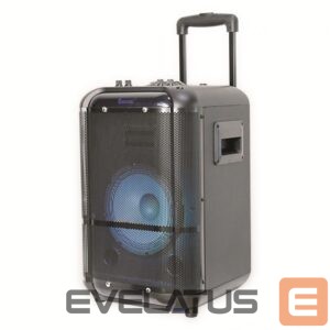 Juhtmevabad kõlarid Denver  TSP-306 