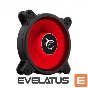 Aušintuvai White Shark  GCF-1260-01W-R DASH 