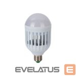 Stalinė lempa Jata  MELI0220 