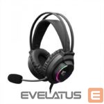 Ausinės su mikrofonu White Shark  WOLF GH-2044 