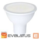 LED pirn Denver  SHL-450 