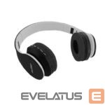 Wireless headphones Bemi  B39 Noise Cancell Kids Cat Bluetooth Wireless Headset FM Radio / MP3 Mico SD and Phone call 