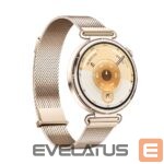 Smart watches Huawei  Watch GT6 41mm Gold Stainless Steel Case with Gold Milanese Strap Gold