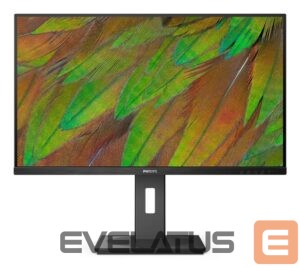 Monitors Mmd-monitors & displays  PHILIPS 32B1N3800/00 Monitor 31.5i UHD 