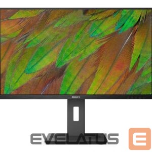 Monitors Mmd-monitors & displays  PHILIPS 32B1N3800/00 Monitor 31.5i UHD 