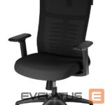 Computer chairs / desks Genesis  Ergonomic Chair Astat 200 Black 