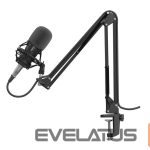 Muu arvutitarvik Genesis  Gaming Microphone Radium 300 Black, Wired 