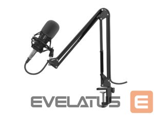 Другой аксессуар для компьютера Genesis  Gaming Microphone Radium 300 Black, Wired 