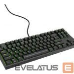 Arvuti klaviatuur Genesis  Mechanical Gaming Keyboard THOR 404 TKL RGB Mechanical Gaming Keyboard Wired US Gateron Yellow Pro USB Type-A 1005 g 