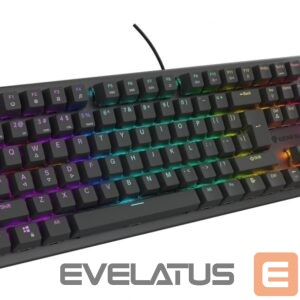 Computer keyboard Genesis  THOR 303 | Mechanical Gaming Keyboard | Wired | US | Black | USB Type-A | Outemu Brown 