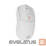 Datora pele Genesis  Zircon 500 | Wireless/Wired | Gaming Mouse | 2.4 GHz, Bluetooth, USB | White 