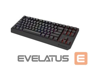 Arvuti klaviatuur Genesis  THOR 230 | Mechanical Gaming Keyboard | Wireless | US | Black | 2.4 GHz, Bluetooth, USB | Outemu Red 