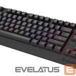 Arvuti klaviatuur Genesis  THOR 230 | Mechanical Gaming Keyboard | Wireless | US | Black | 2.4 GHz, Bluetooth, USB | Outemu Silent Lemon 