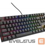 Computer keyboard Genesis  THOR 303 | Mechanical Gaming Keyboard | Wired | US | Black | USB Type-A | Outemu Brown 