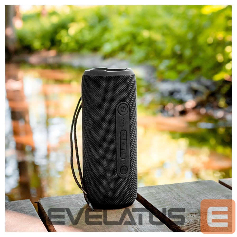 Bluetooth speakers Evelatus Evelatus Bluetooth Speaker L size EBS03 Black