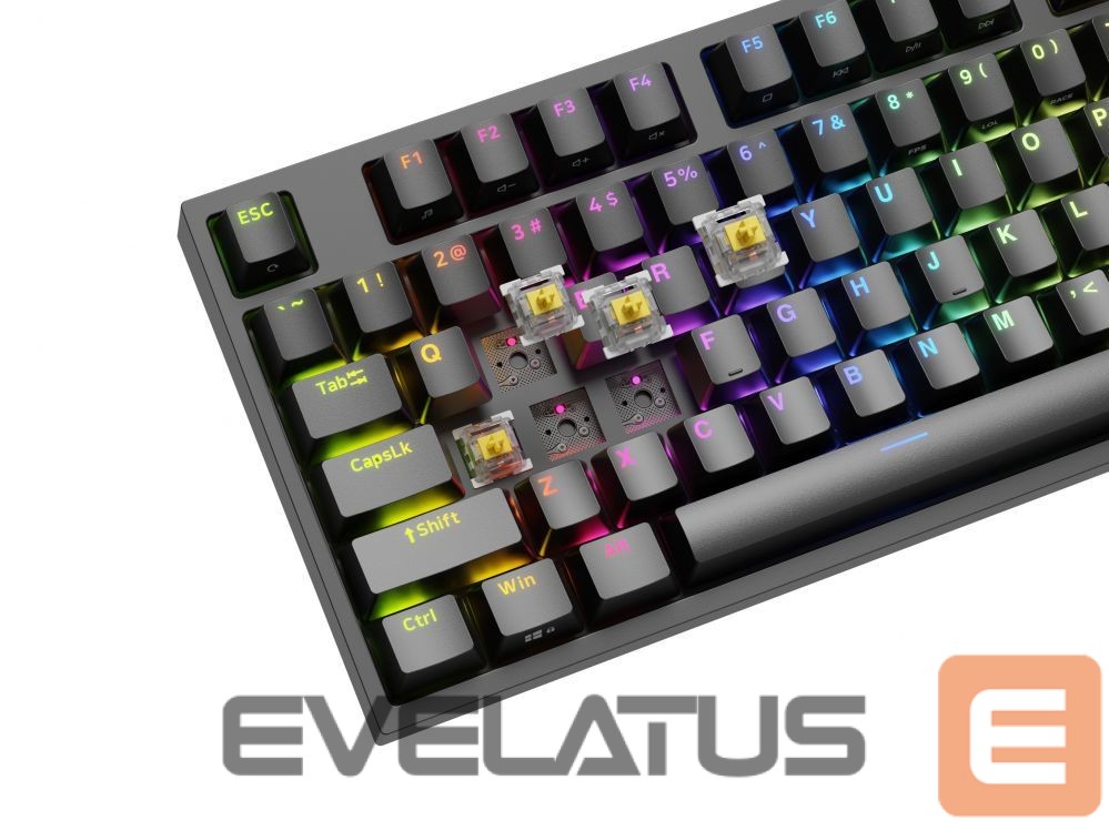 Arvuti klaviatuur Genesis Mechanical Gaming Keyboard THOR 404 TKL RGB Mechanical Gaming Keyboard Wired US Gateron Yellow Pro USB Type-A 1005 g