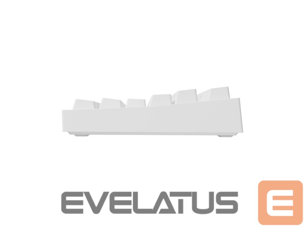 Arvuti klaviatuur Genesis Mechanical Gaming Keyboard THOR 404 TKL RGB Mechanical Gaming Keyboard Wired US Gateron Yellow Pro USB Type-A 1005 g