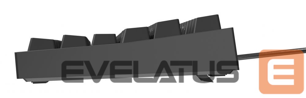 Computer keyboard Genesis Mechanical Gaming Keyboard THOR 404 TKL RGB Mechanical Gaming Keyboard Wired US Kailh Box Brown V2 USB Type-A 1005 g