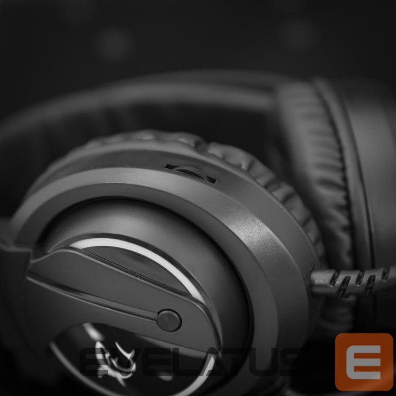 Austiņas ar mikrofonu White Shark WOLF GH-2044