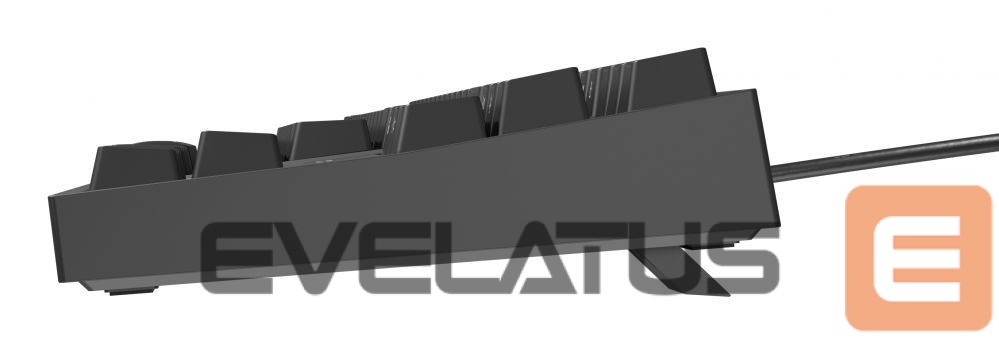 Computer keyboard Genesis Mechanical Gaming Keyboard THOR 404 TKL RGB Mechanical Gaming Keyboard Wired US Kailh Box Brown V2 USB Type-A 1005 g