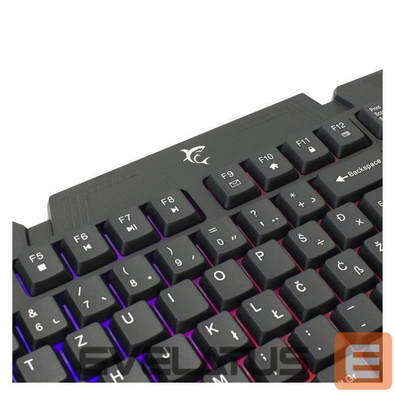 Arvuti klaviatuur White Shark GK-2105 Dakota US