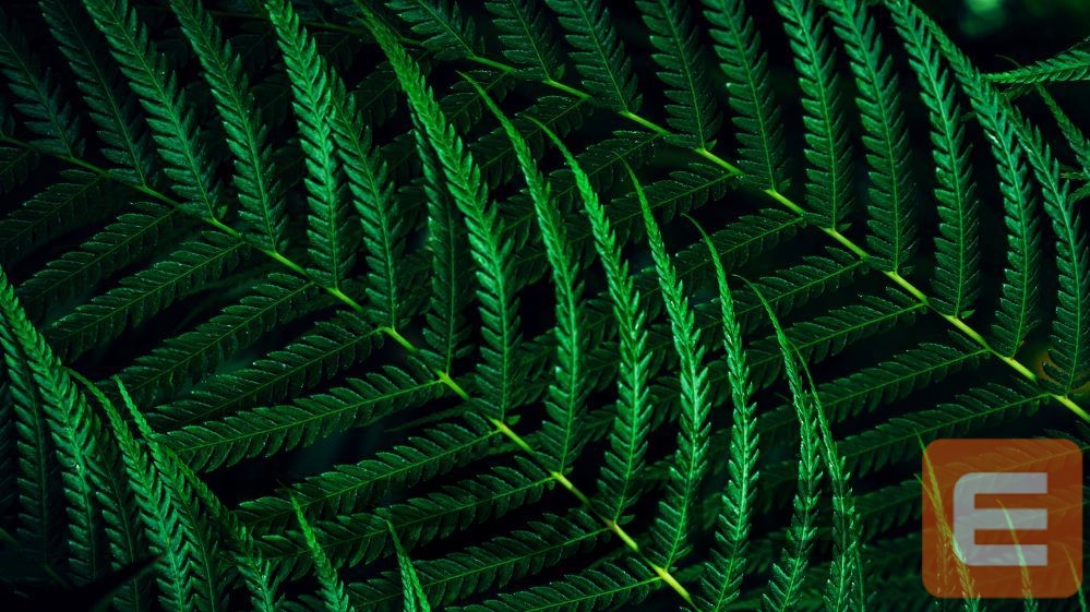 Monitors Mmd-monitors & displays PHILIPS 27B2G5500/00 Monitor 27inch QHD