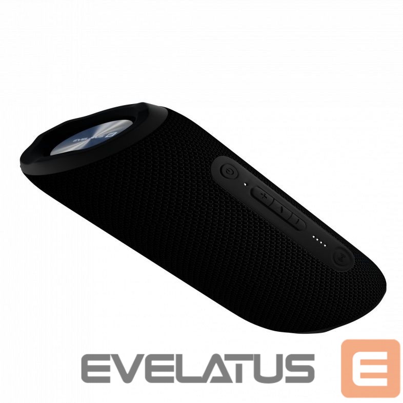 Bluetooth speakers Evelatus Evelatus Bluetooth Speaker L size EBS03 Black