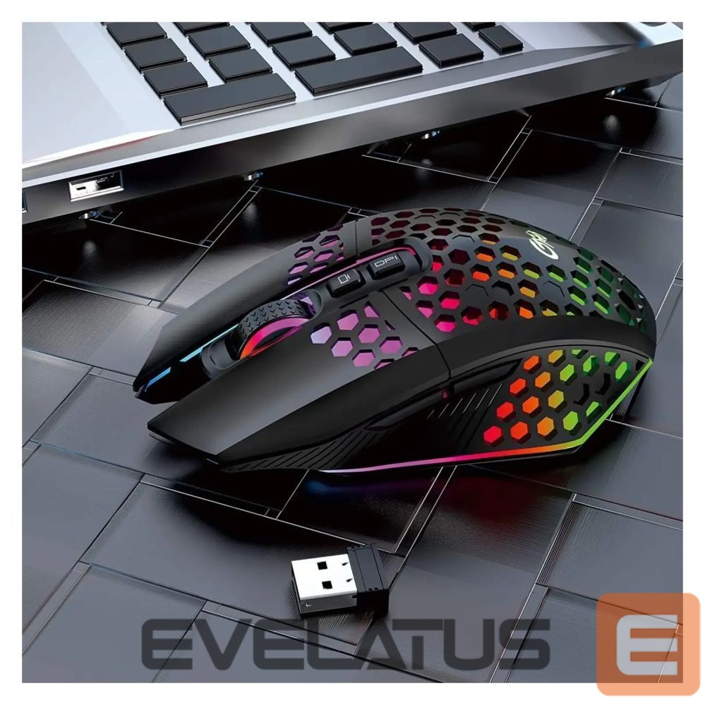 Arvutihiir GameBox Gaming Mouse RGB 2.4GHz Wireless Hollow Shell + USB Charging 1600 DPI Black