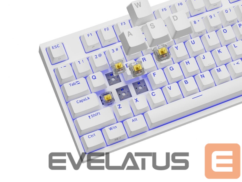 Arvuti klaviatuur Genesis Mechanical Gaming Keyboard THOR 404 TKL RGB Mechanical Gaming Keyboard Wired US Gateron Yellow Pro USB Type-A 1005 g