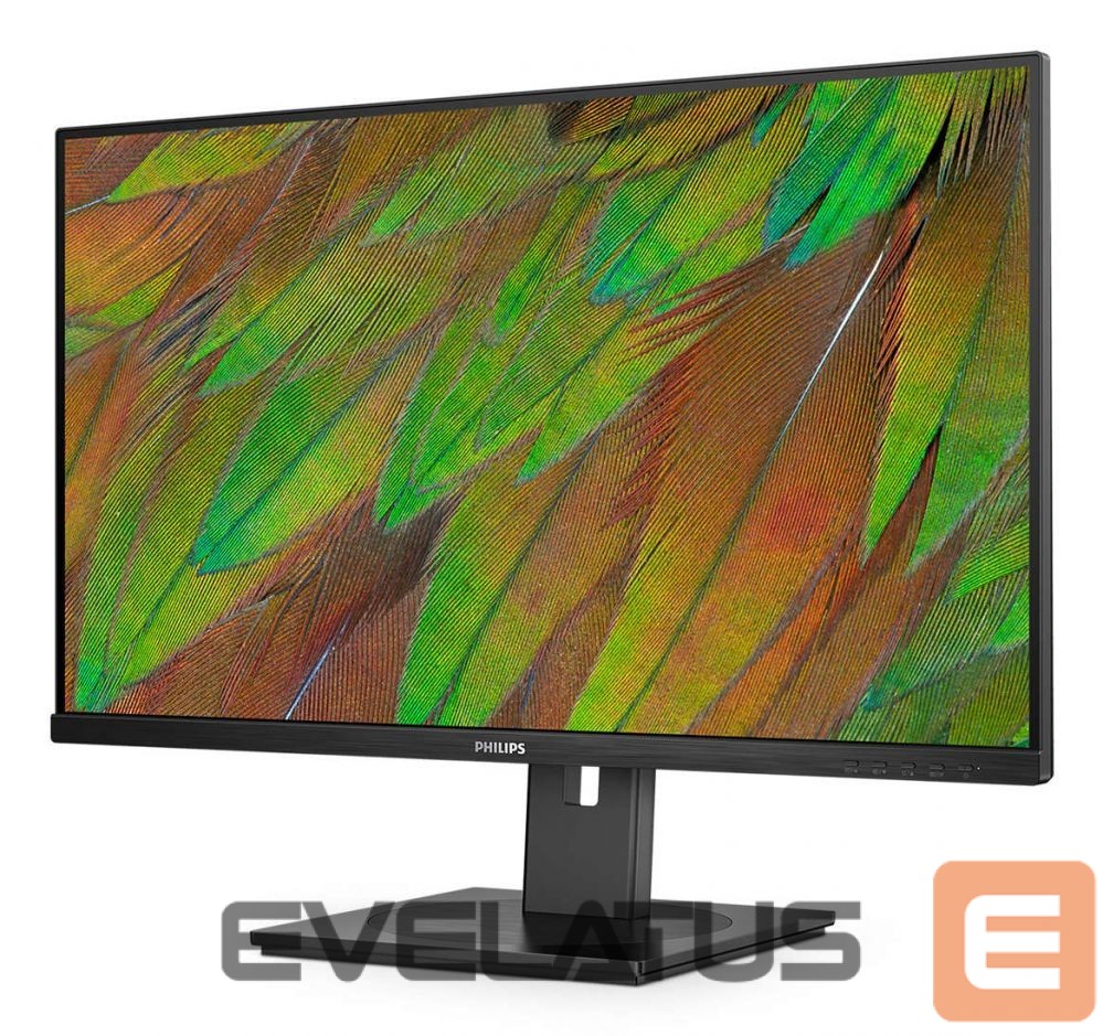 Monitors Mmd-monitors & displays PHILIPS 32B1N3800/00 Monitor 31.5i UHD