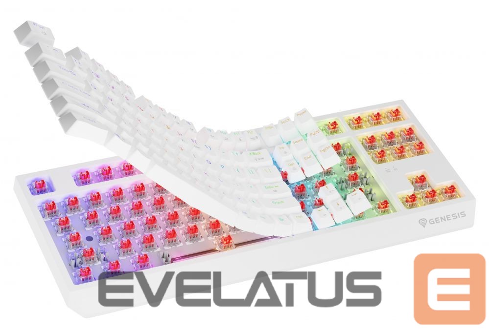 Arvuti klaviatuur Genesis THOR 230 | Mechanical Gaming Keyboard | Wireless | US | White | 2.4 GHz, Bluetooth, USB | Outemu Red