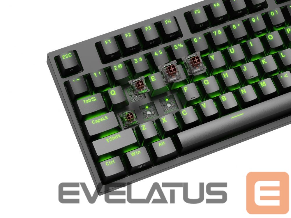 Computer keyboard Genesis Mechanical Gaming Keyboard THOR 404 TKL RGB Mechanical Gaming Keyboard Wired US Kailh Box Brown V2 USB Type-A 1005 g