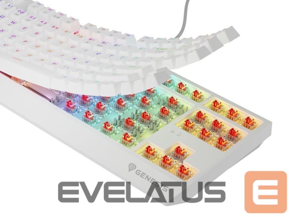 Arvuti klaviatuur Genesis THOR 230 | Mechanical Gaming Keyboard | Wireless | US | White | 2.4 GHz, Bluetooth, USB | Outemu Red