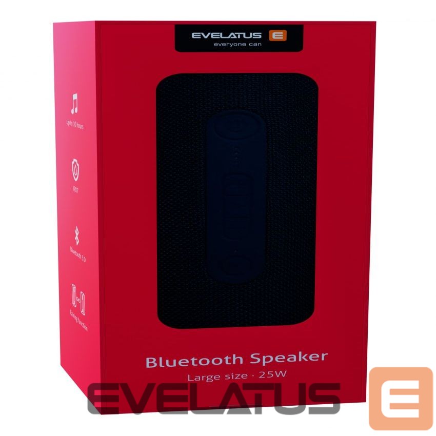Bluetooth speakers Evelatus Evelatus Bluetooth Speaker L size EBS03 Black