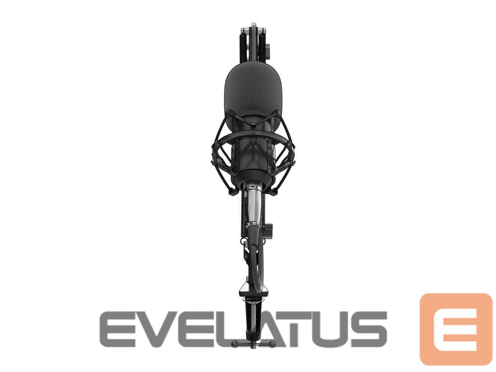 Cita datorprece Genesis Gaming Microphone Radium 300 Black, Wired