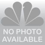 Datora pele Dell  Mouse MS116 Wired, No, Black, No, Optical 