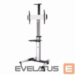 TV bracket Sbox  FS-446 (37-70/50kg/600x400) 