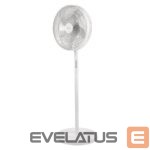 Вентилятор Jata  JVVP3060 