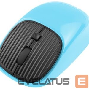 Datora pele Tracer  46943 Wave RF 2.4Ghz Turquoise 