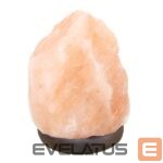 Virtene iekštelpām Beper  P201UTP100 